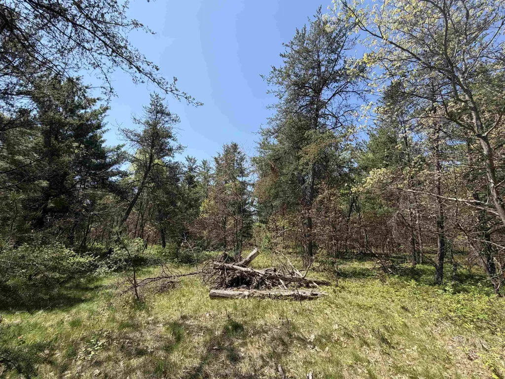 US-10 Cherry Valley Township MI 49642