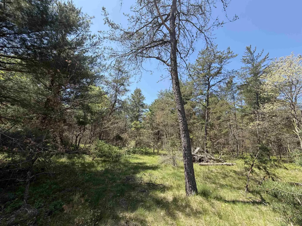 US-10 Cherry Valley Township MI 49642