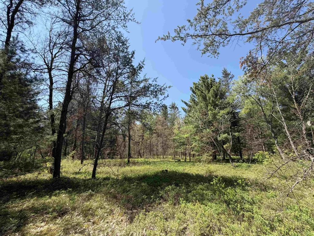 US-10 Cherry Valley Township MI 49642