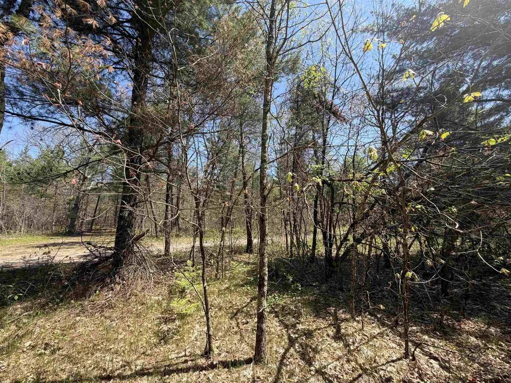 E Gladys Lane Cherry Valley Township MI 49642
