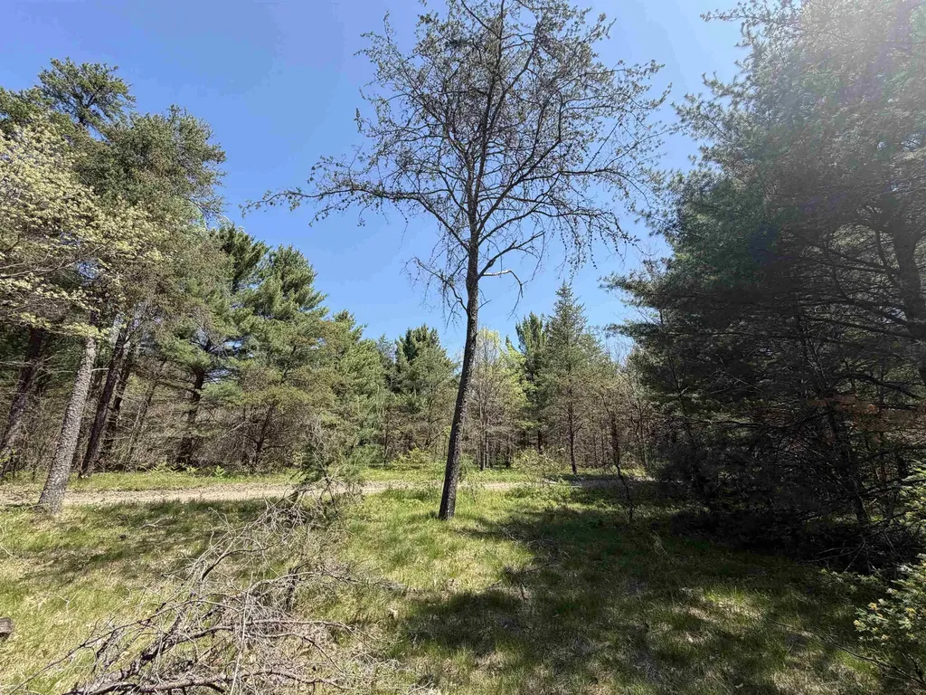 E Gladys Lane Cherry Valley Township MI 49642