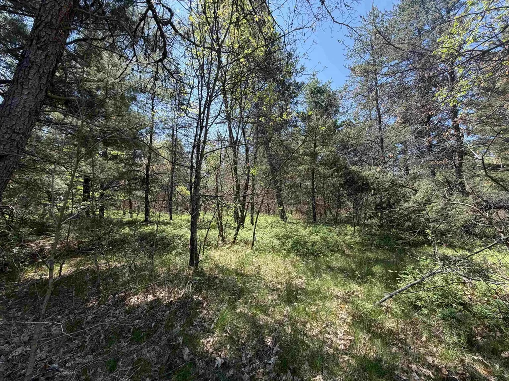 E Gladys Lane Cherry Valley Township MI 49642