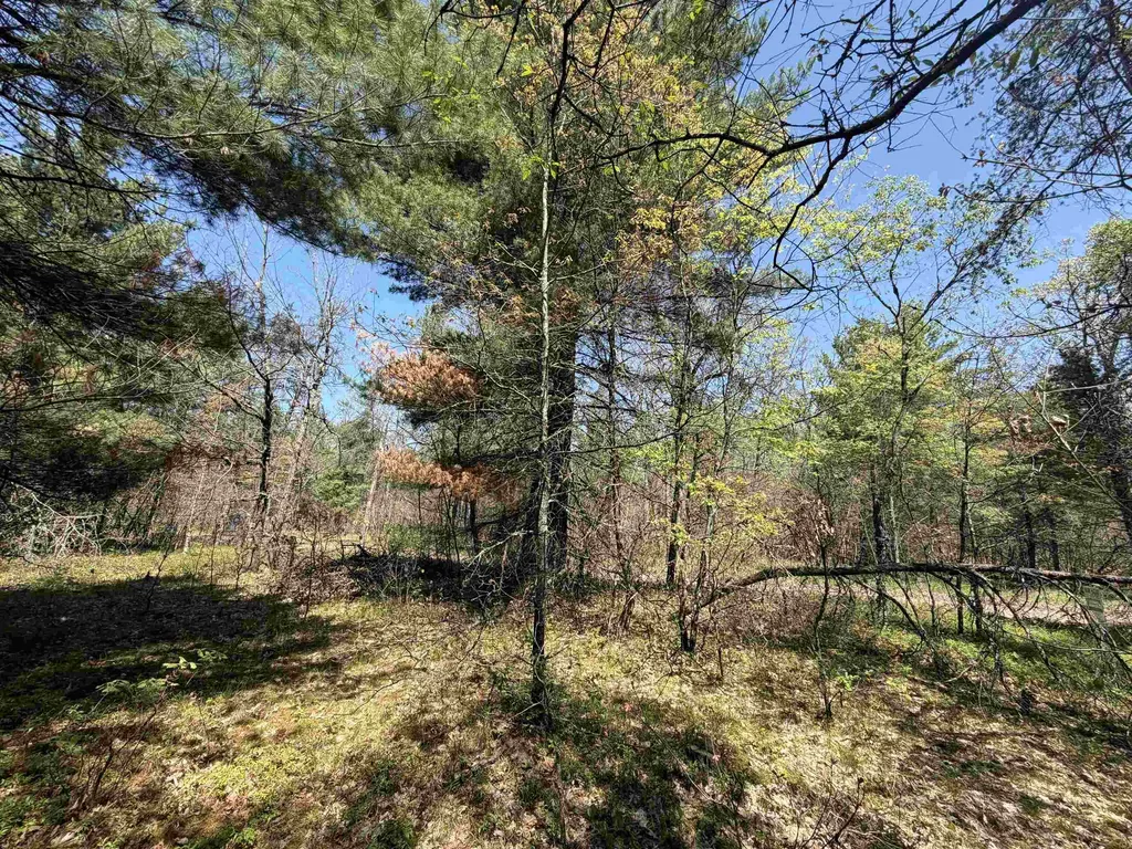 E Gladys Lane Cherry Valley Township MI 49642