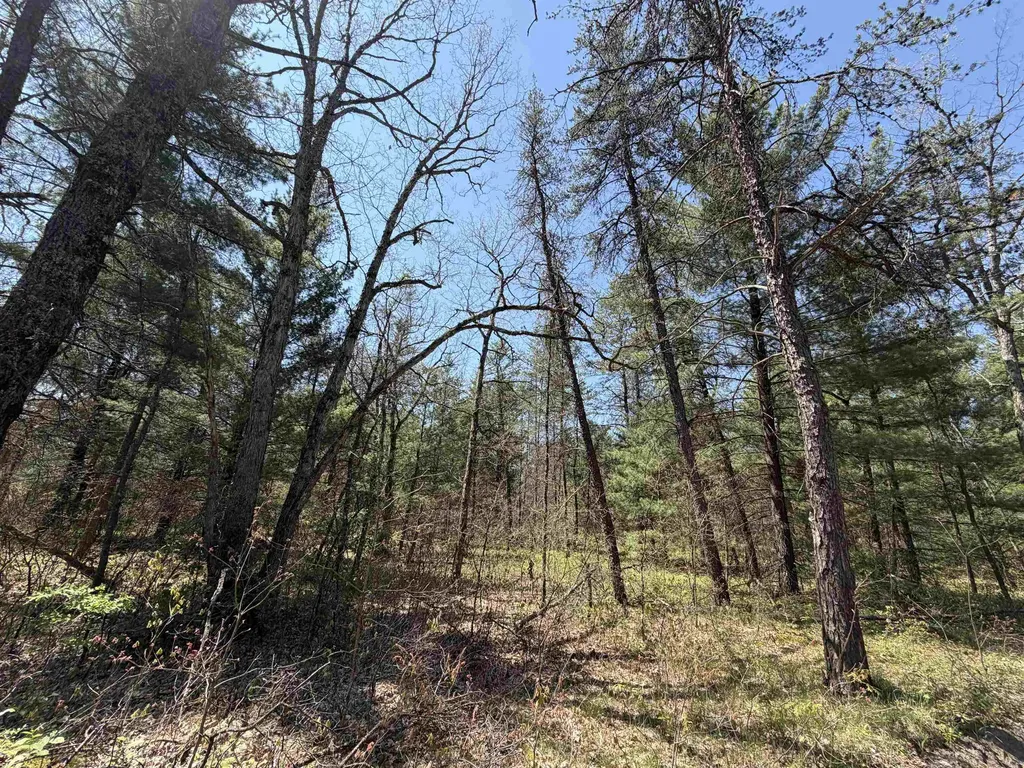 E Gladys Lane Cherry Valley Township MI 49642