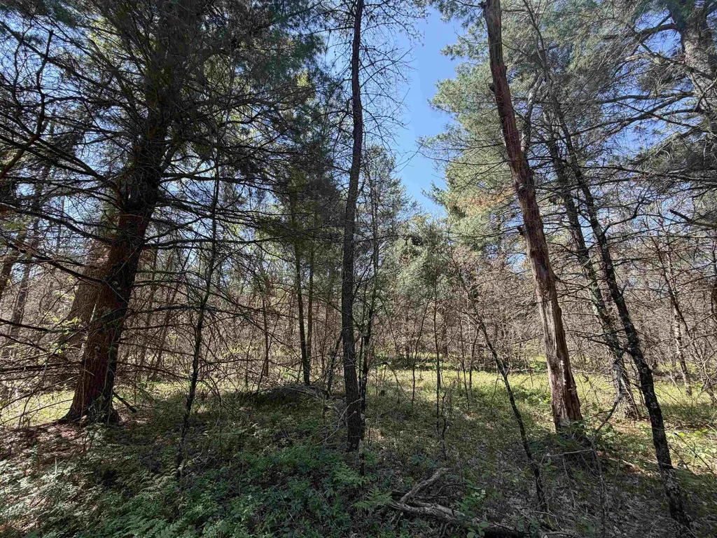 E Gladys Lane Cherry Valley Township MI 49642
