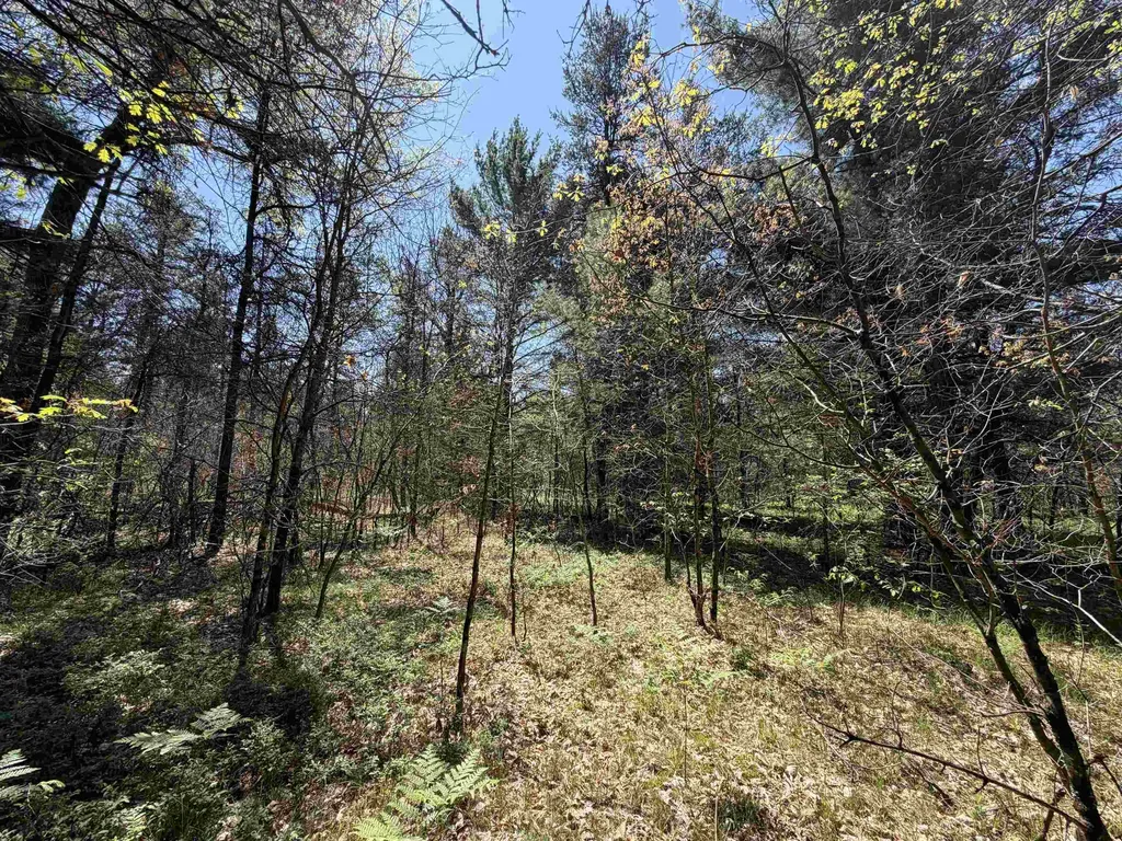 E Gladys Lane Cherry Valley Township MI 49642