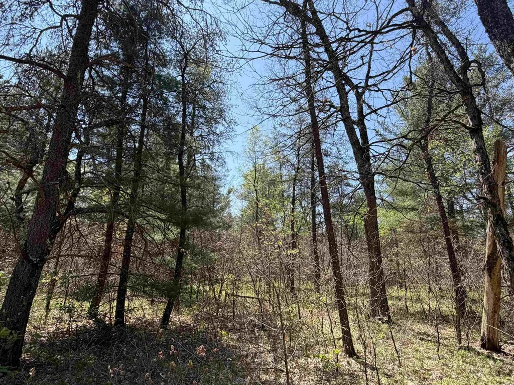 E Gladys Lane Cherry Valley Township MI 49642