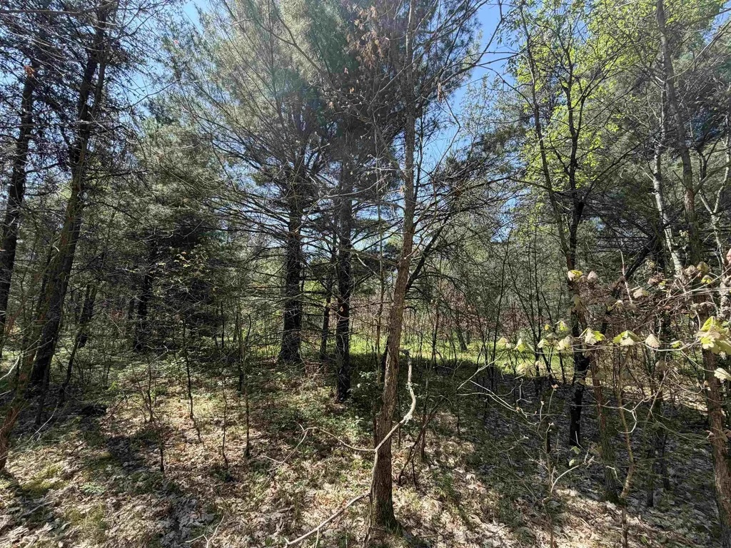 E Gladys Lane Cherry Valley Township MI 49642