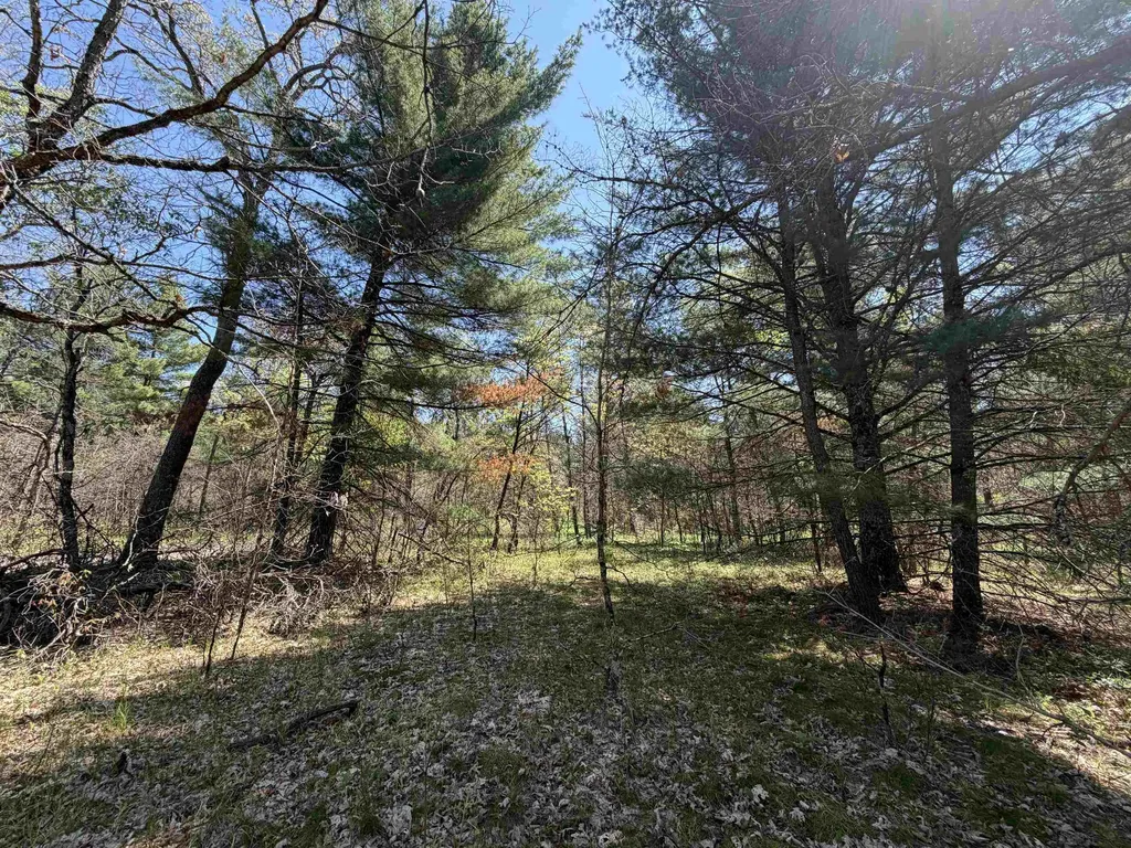 E Gladys Lane Cherry Valley Township MI 49642