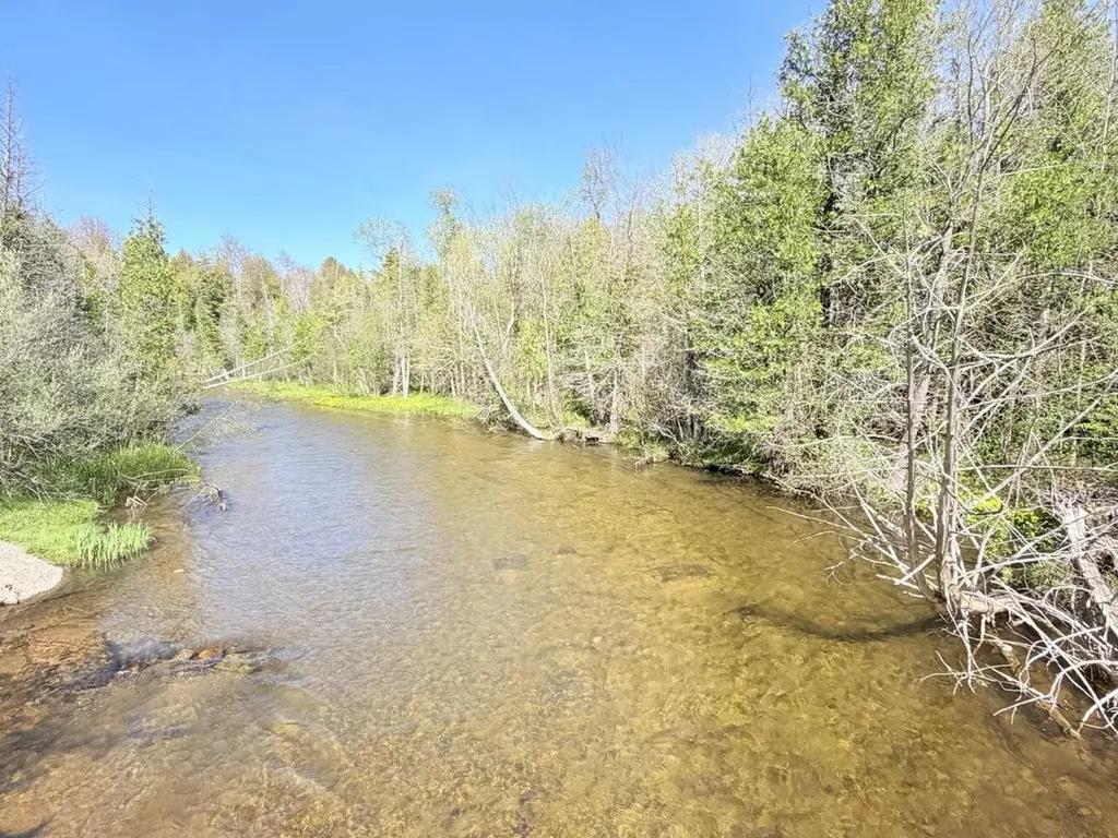 1741 N Haze Road Homestead Township MI 49617