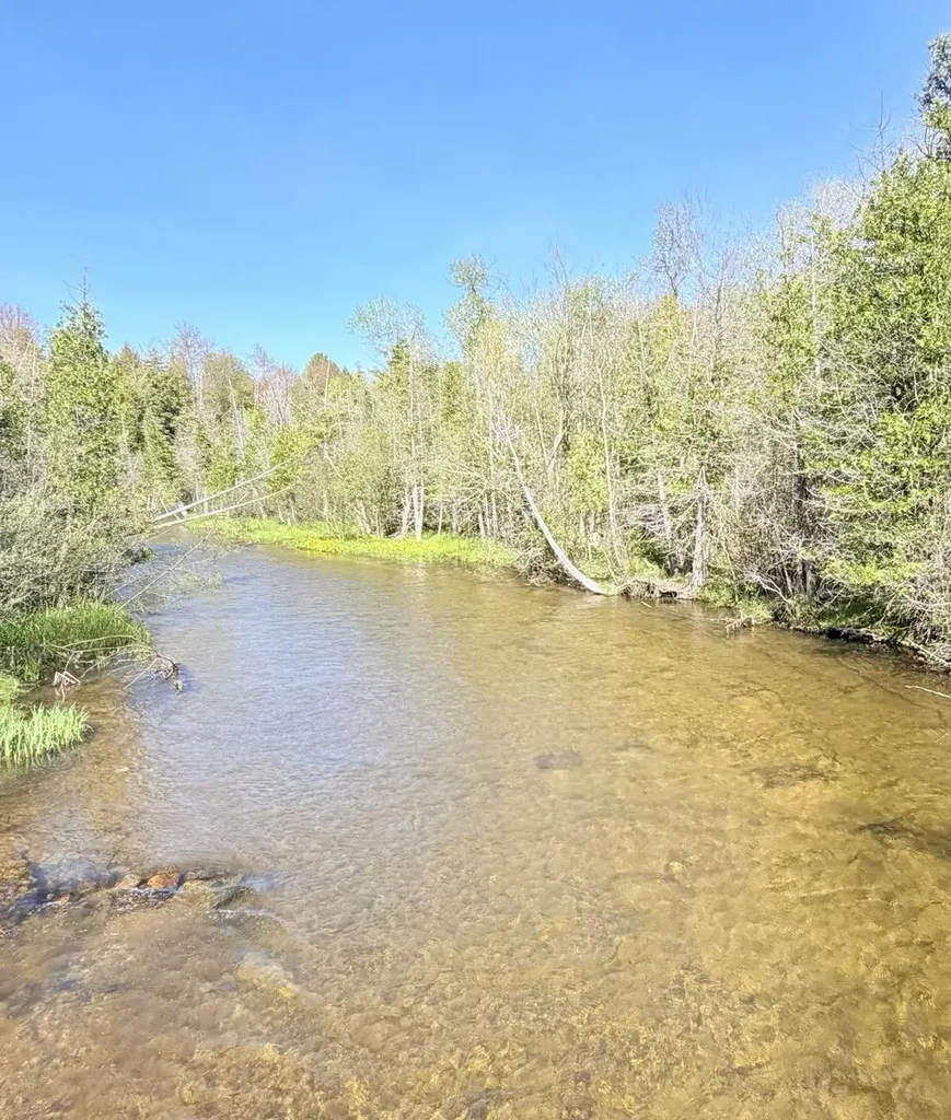 1741 N Haze Road Homestead Township MI 49617