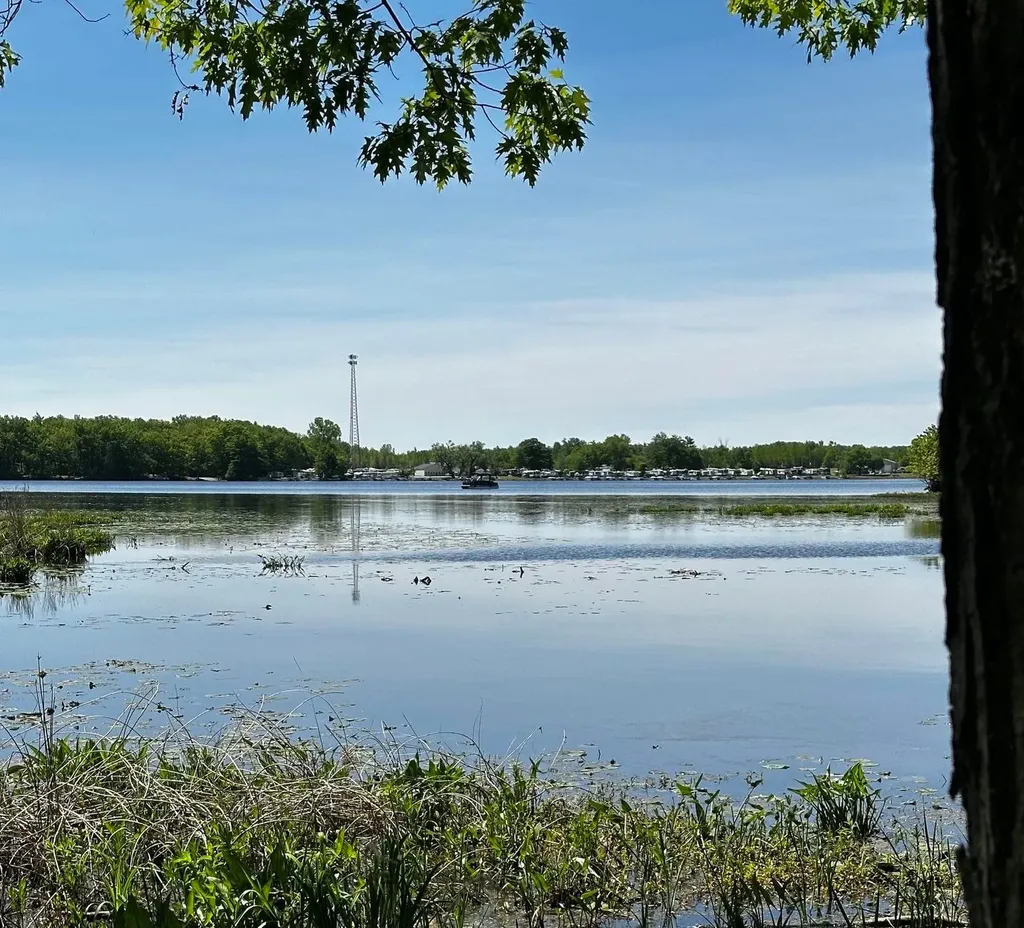 5778 Betty Lane Wheatland Township MI 49305