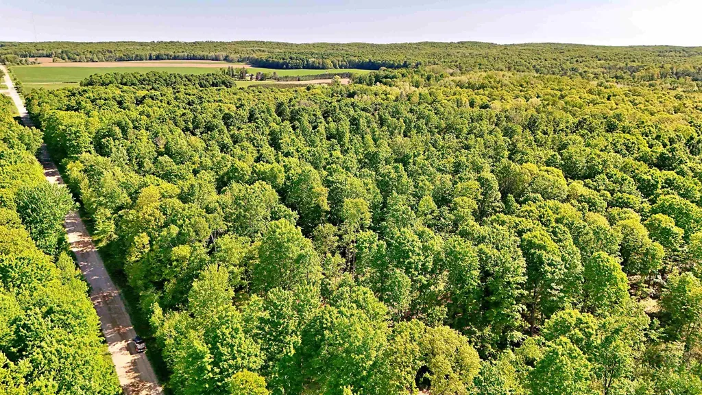 Vl S 9 Mile Road Aetna Township MI 49632