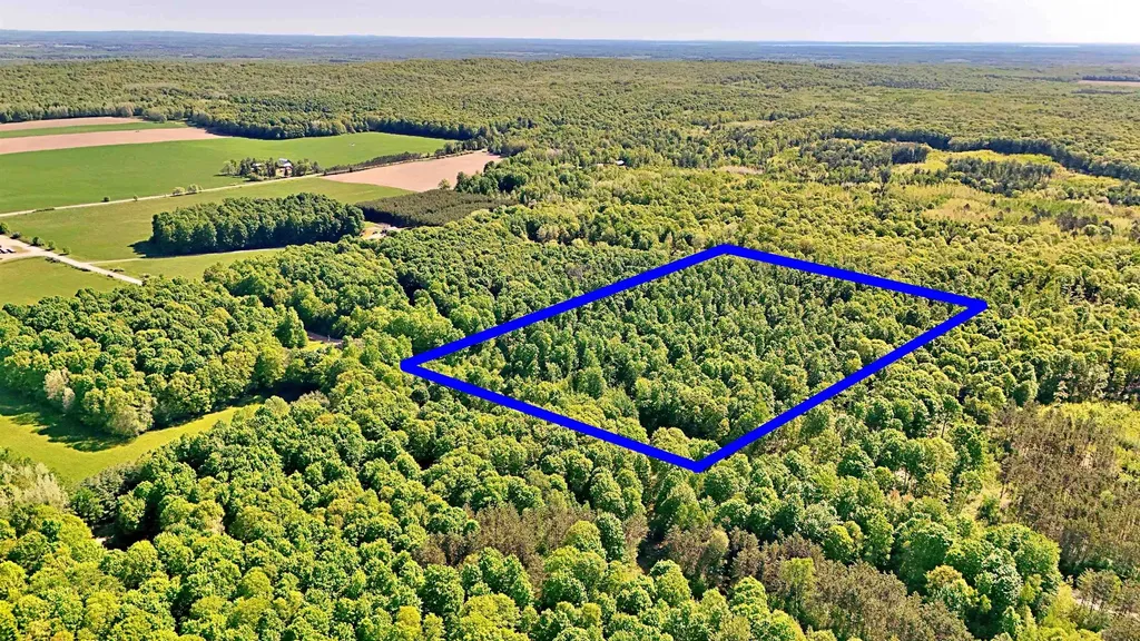 Vl S 9 Mile Road Aetna Township MI 49632