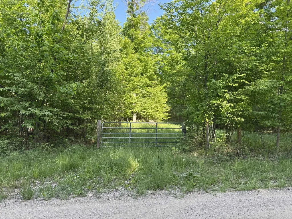 Vl S 9 Mile Road Aetna Township MI 49632