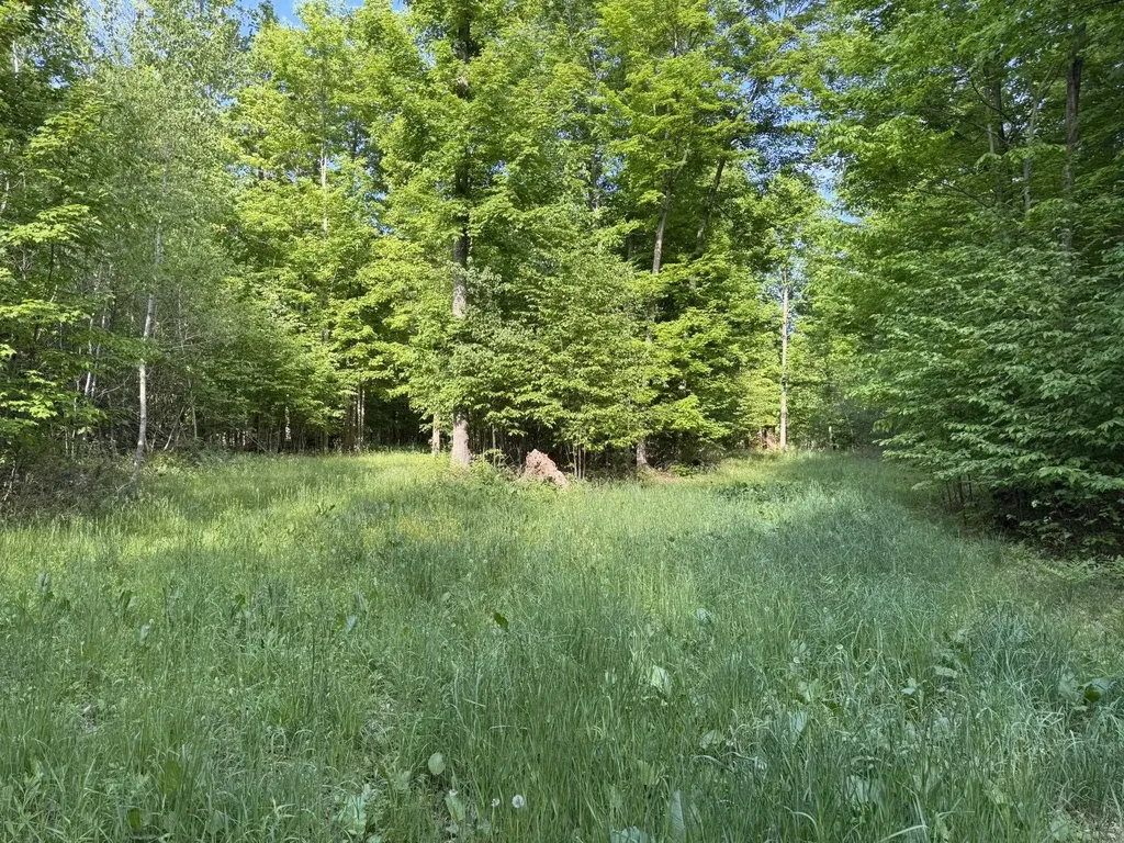 Vl S 9 Mile Road Aetna Township MI 49632