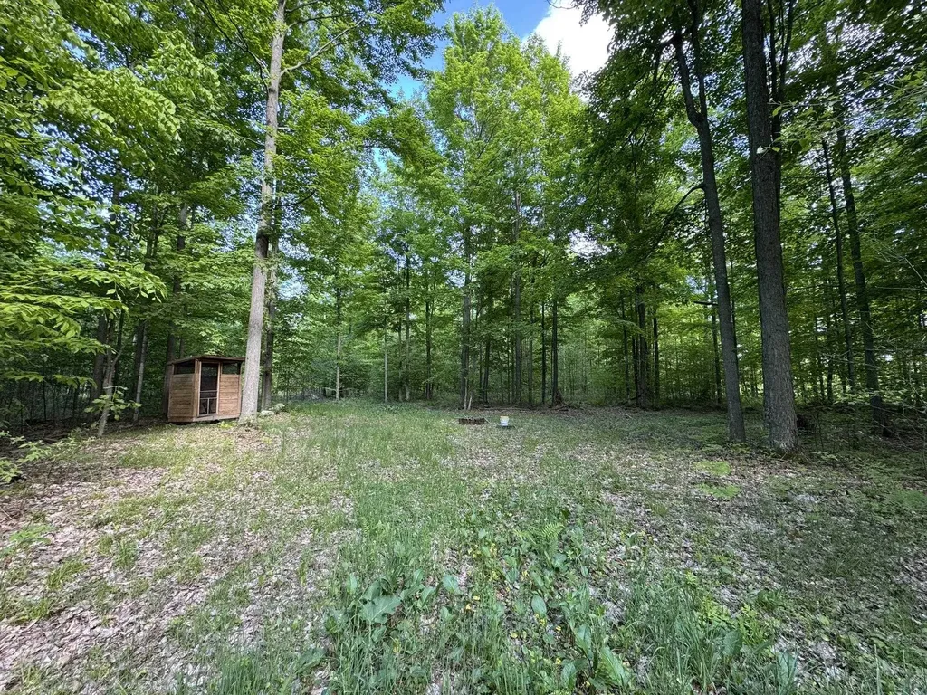 Vl S 9 Mile Road Aetna Township MI 49632