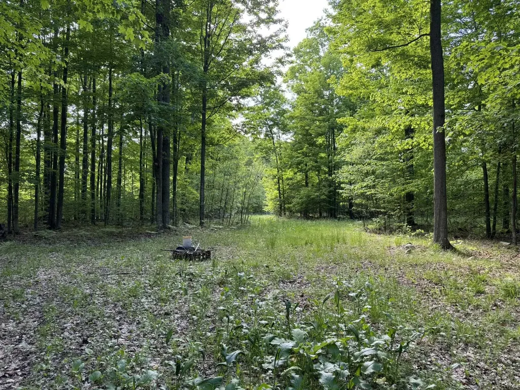 Vl S 9 Mile Road Aetna Township MI 49632