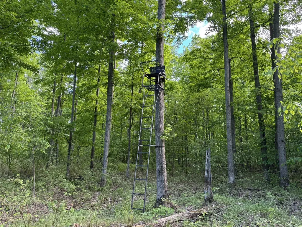 Vl S 9 Mile Road Aetna Township MI 49632