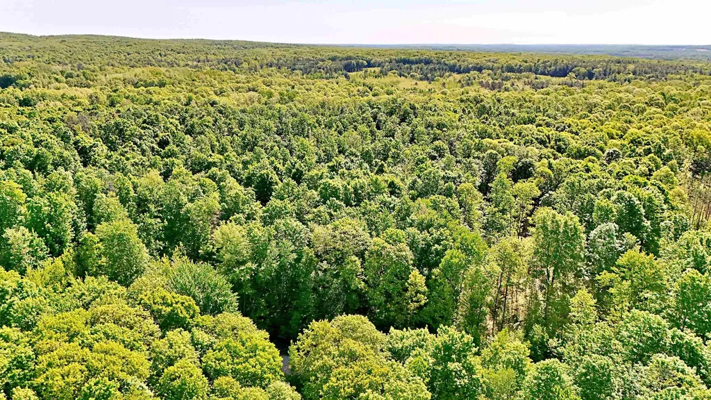 Vl S 9 Mile Road Aetna Township MI 49632
