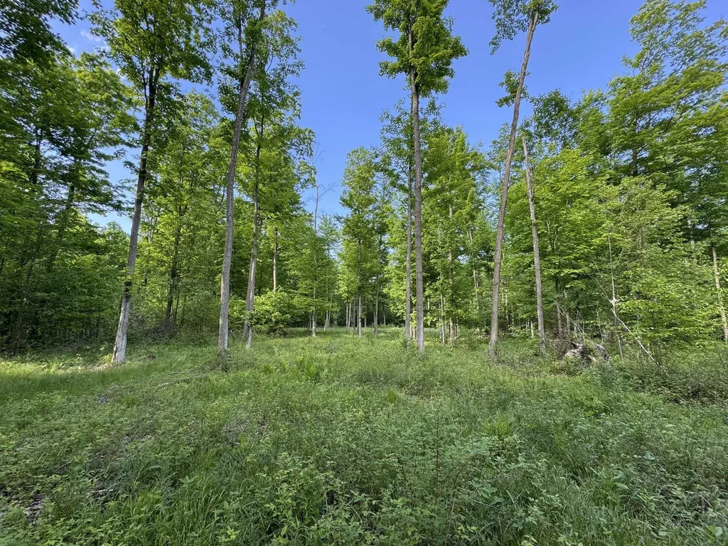 Vl S 9 Mile Road Aetna Township MI 49632