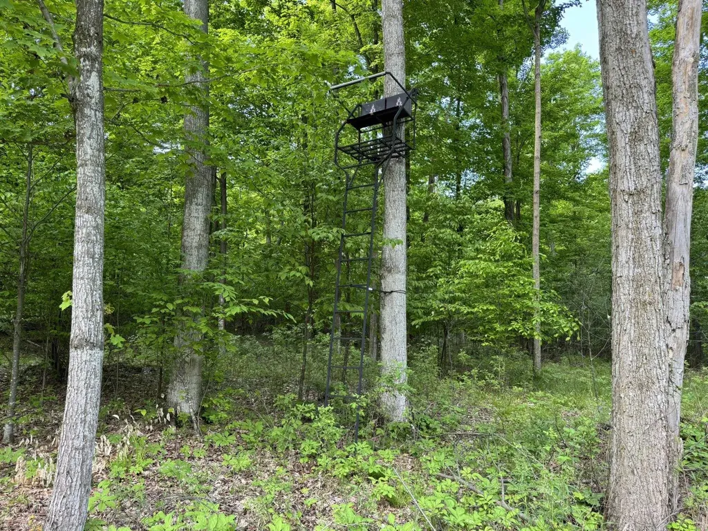 Vl S 9 Mile Road Aetna Township MI 49632