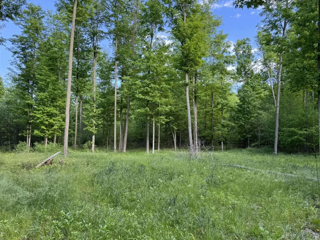 Vl S 9 Mile Road Aetna Township MI 49632