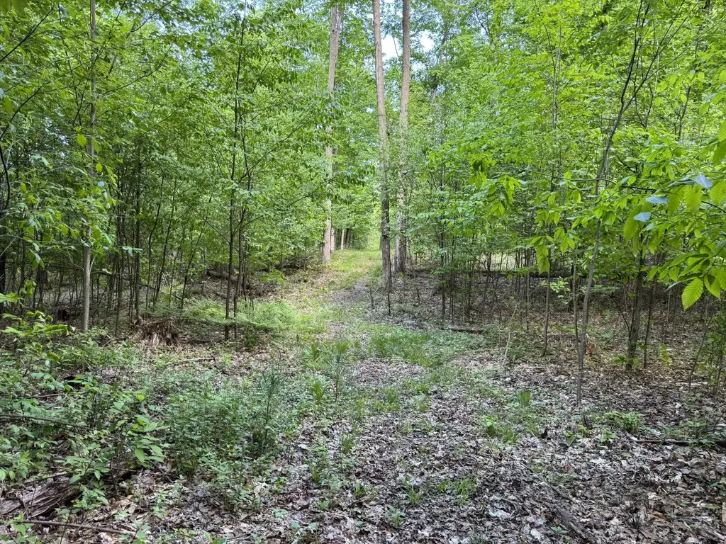 Vl S 9 Mile Road Aetna Township MI 49632