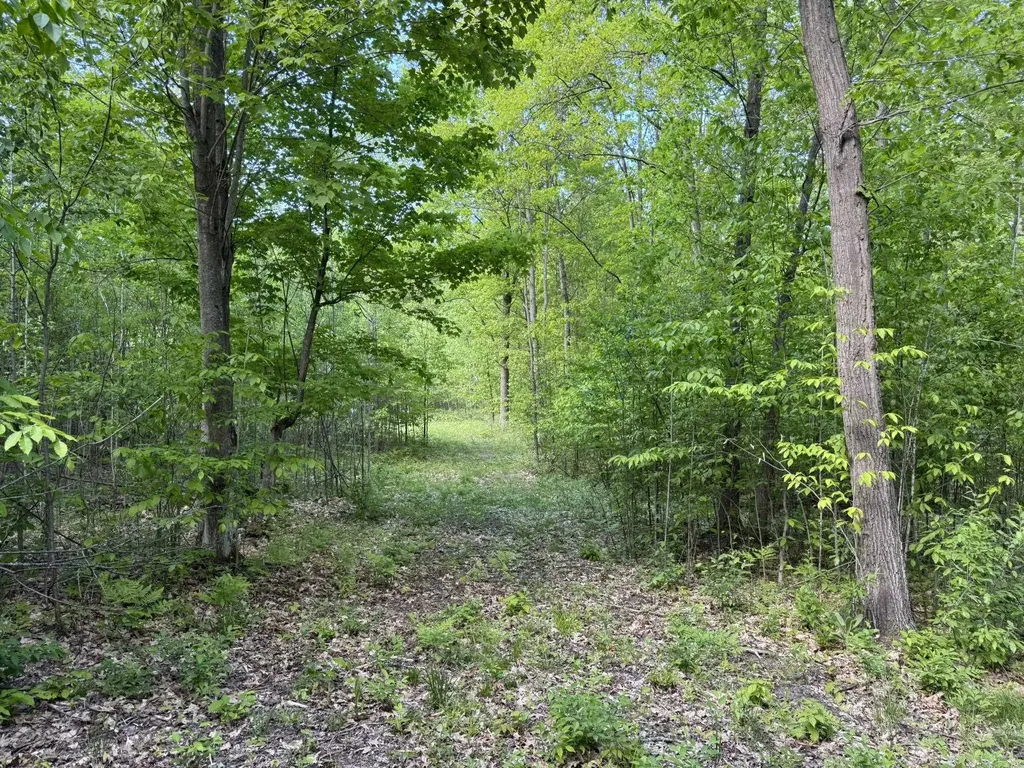 Vl S 9 Mile Road Aetna Township MI 49632