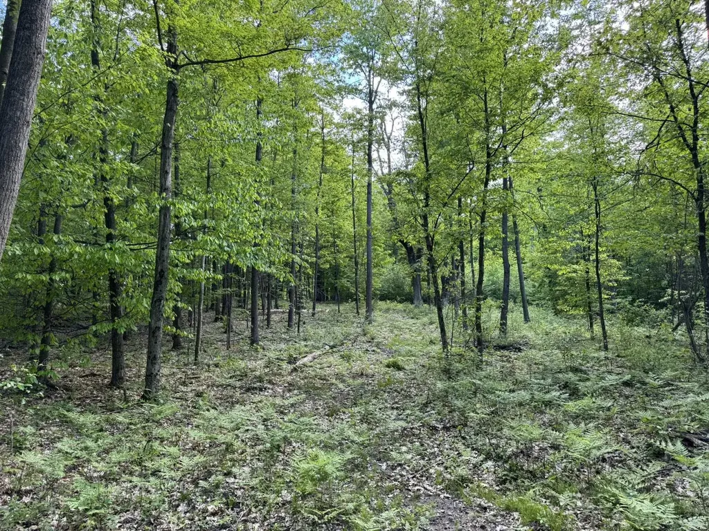 Vl S 9 Mile Road Aetna Township MI 49632