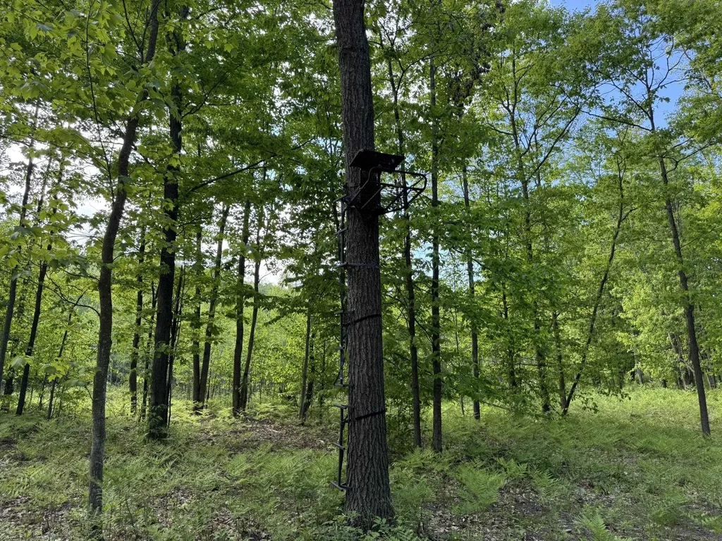 Vl S 9 Mile Road Aetna Township MI 49632
