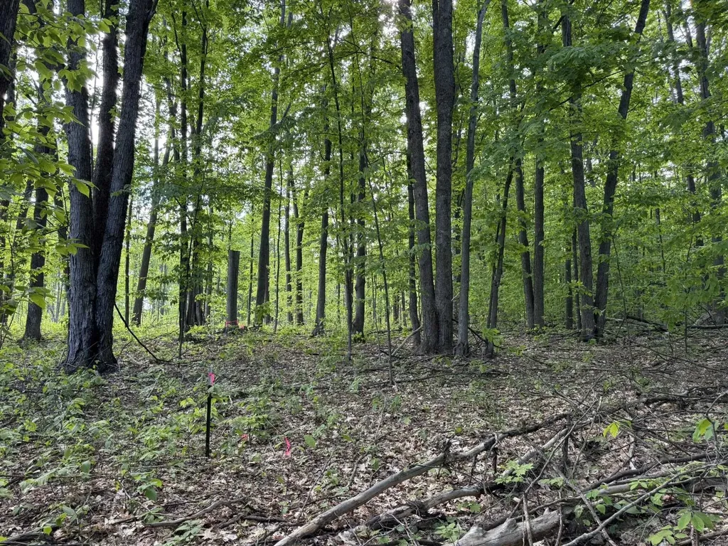 Vl S 9 Mile Road Aetna Township MI 49632