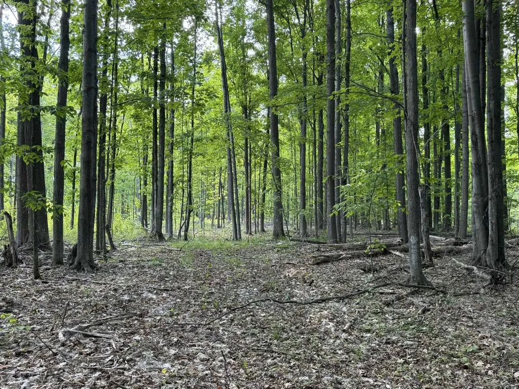 Vl S 9 Mile Road Aetna Township MI 49632