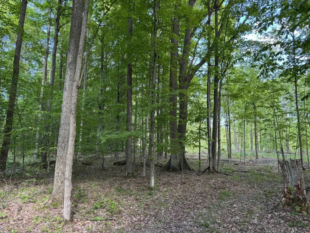 Vl S 9 Mile Road Aetna Township MI 49632