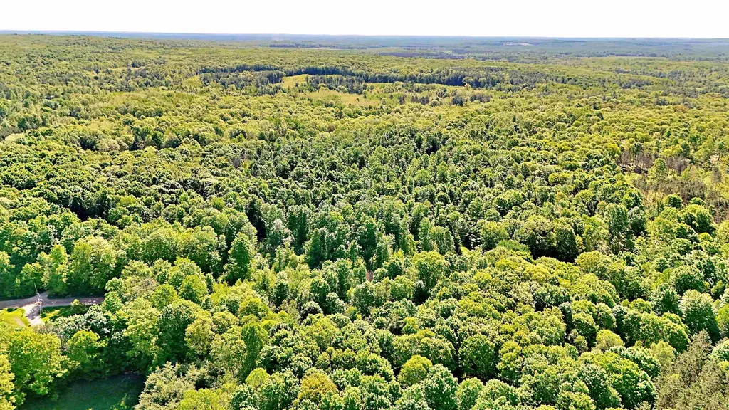 Vl S 9 Mile Road Aetna Township MI 49632