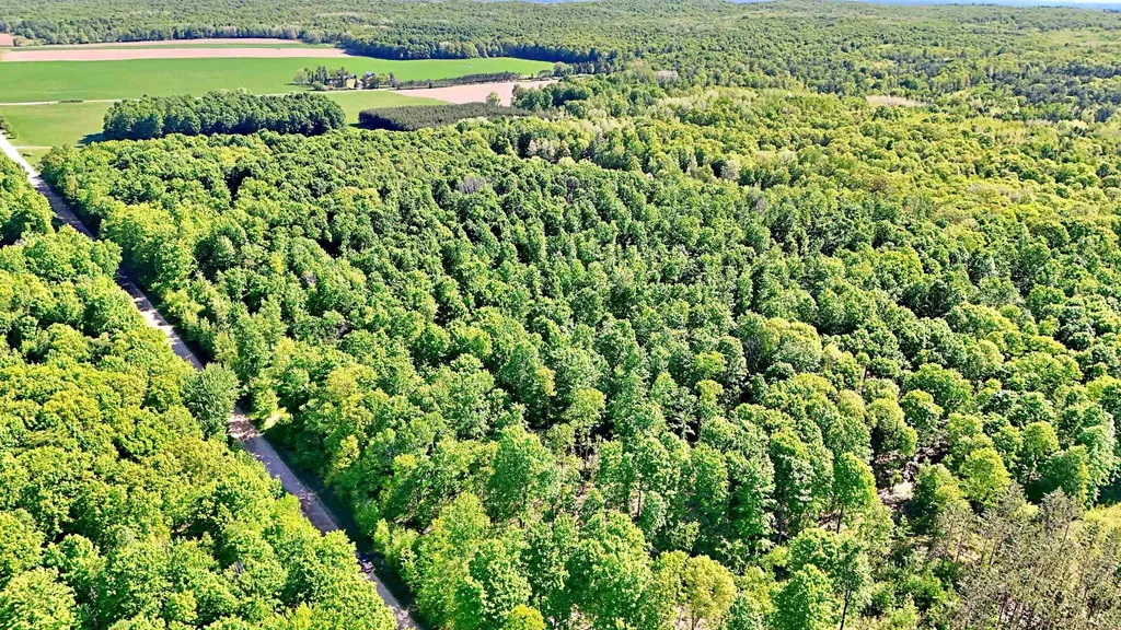 Vl S 9 Mile Road Aetna Township MI 49632