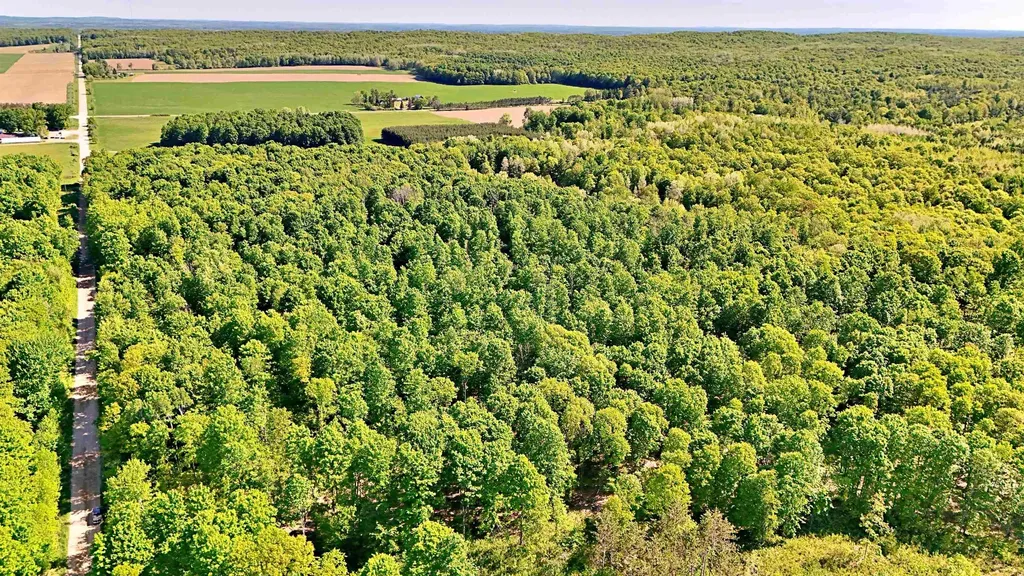 Vl S 9 Mile Road Aetna Township MI 49632