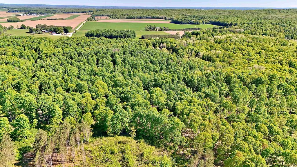 Vl S 9 Mile Road Aetna Township MI 49632