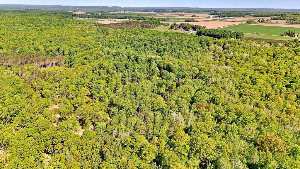 Vl S 9 Mile Road Aetna Township MI 49632