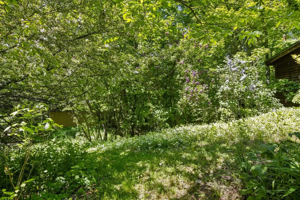 2160 S Maple Valley Road Bingham Township MI 49682
