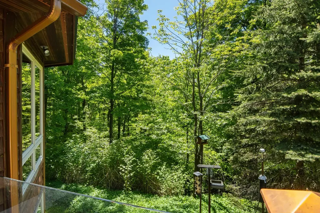 2160 S Maple Valley Road Bingham Township MI 49682