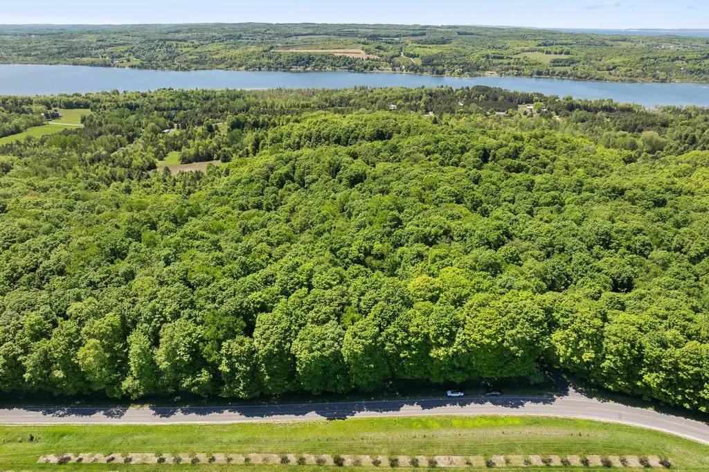 2160 S Maple Valley Road Bingham Township MI 49682