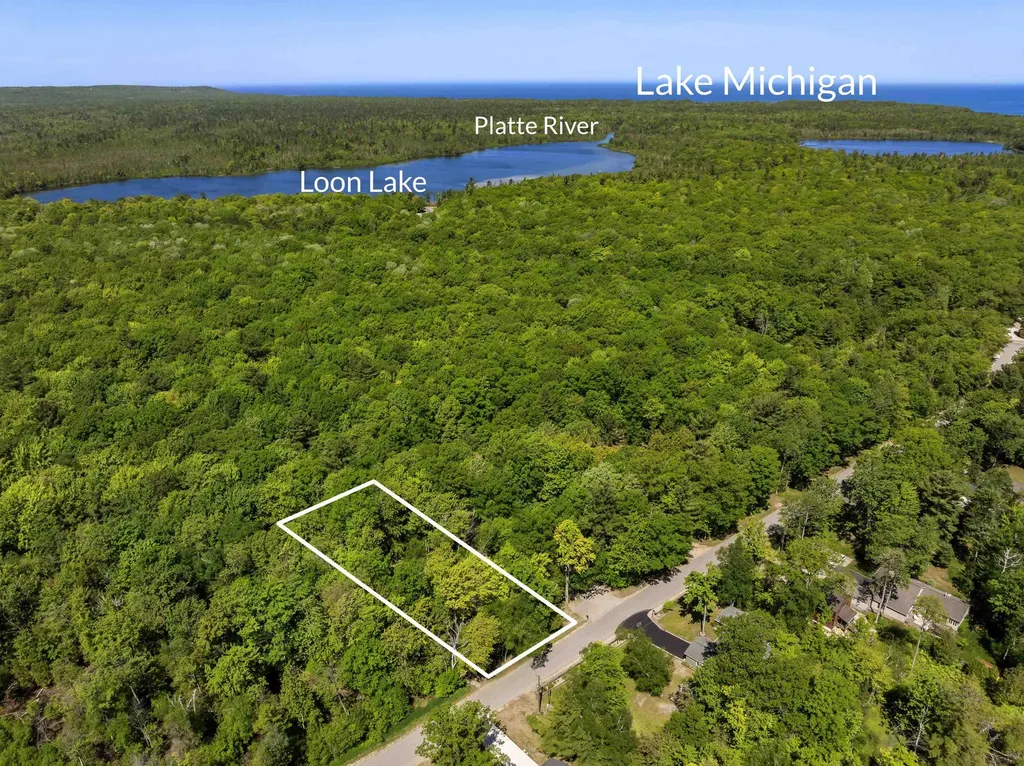 5328 Birch Trail Lake Township MI 49640