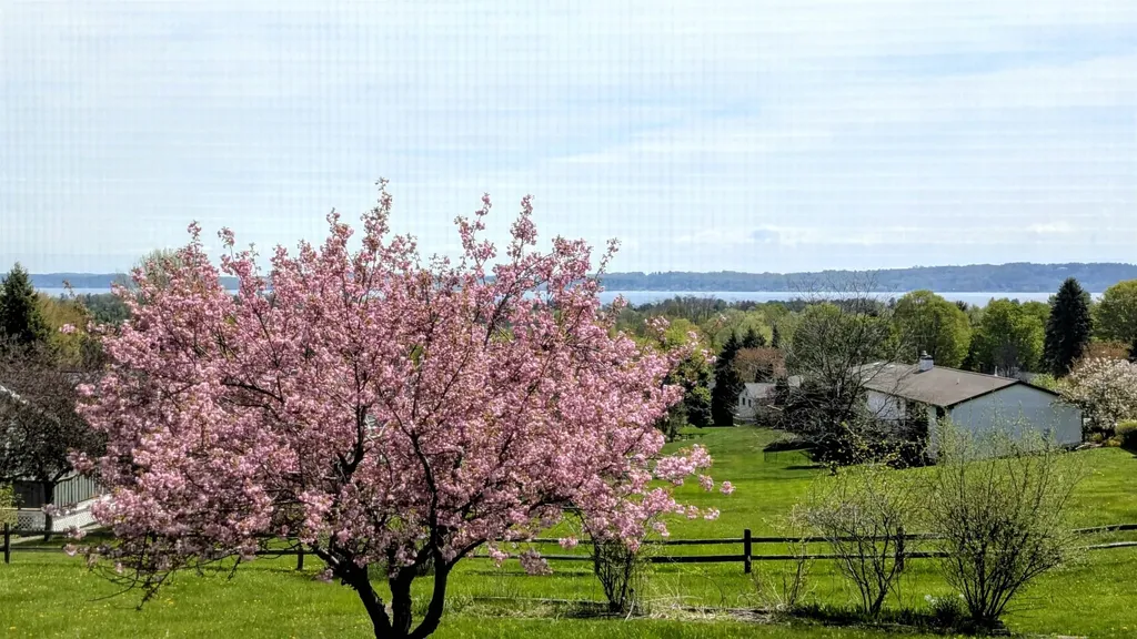 9754 E Harbor Hills Drive Traverse City City MI 49684