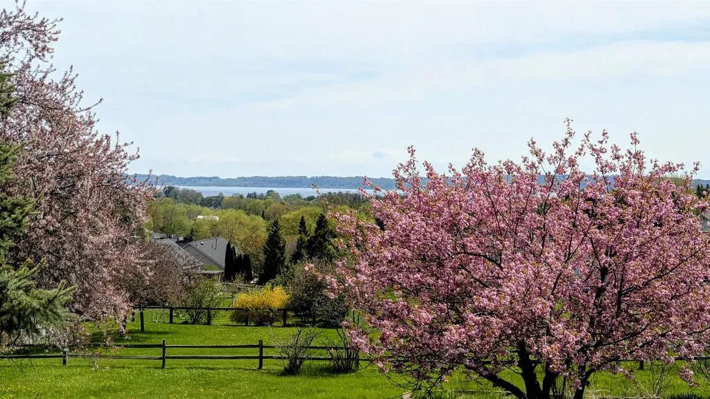 9754 E Harbor Hills Drive Traverse City City MI 49684