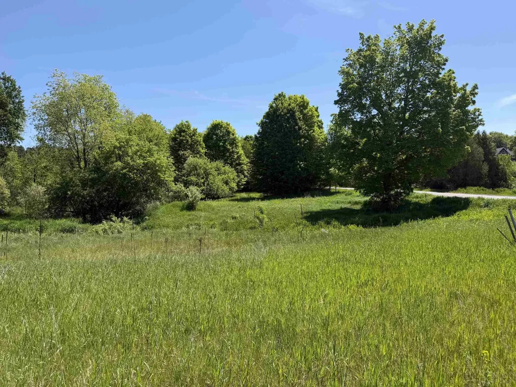 1 Shanty Creek Road Kearney Township MI 49615