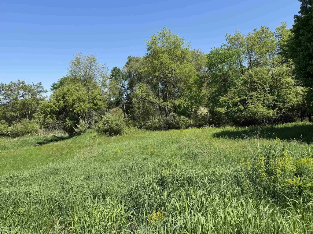 1 Shanty Creek Road Kearney Township MI 49615