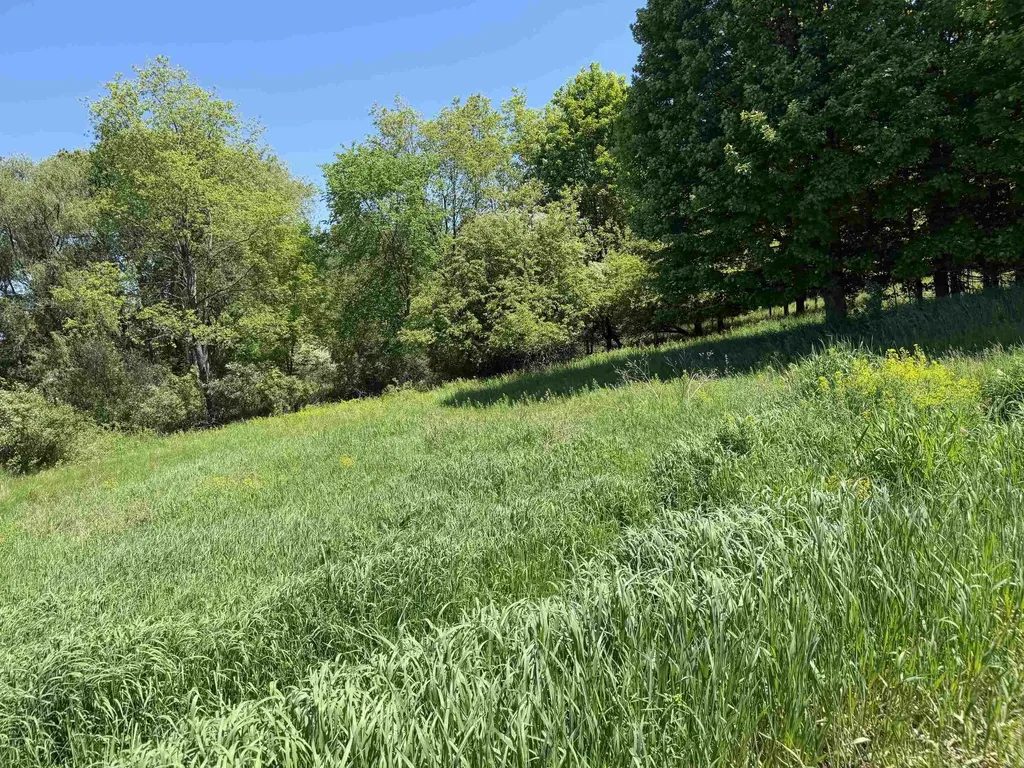 1 Shanty Creek Road Kearney Township MI 49615