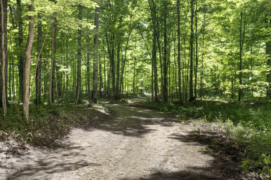 9310 Marl Lane Grant Township MI 49620