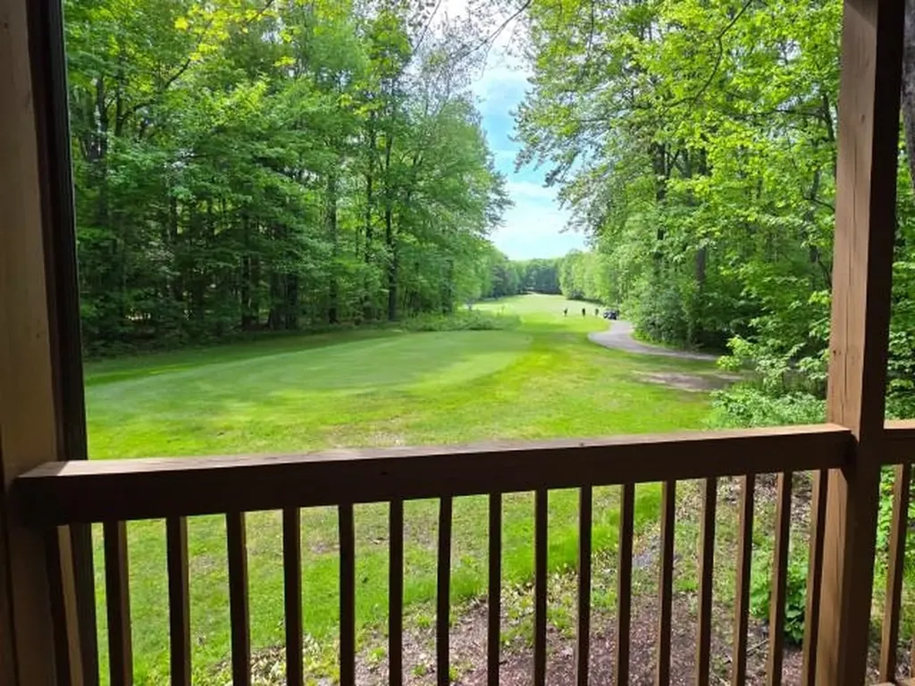 2100 W Schuss Mountain Drive Custer Township MI 49615